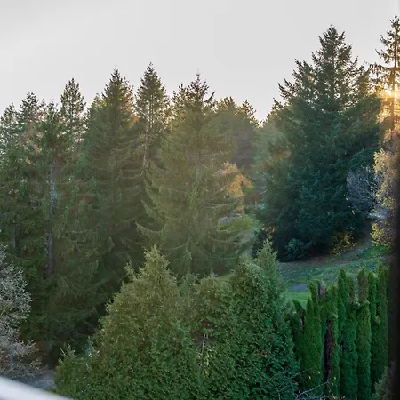 公寓 Viwa - Prestige Forest *