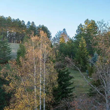 Viwa - Prestige Forest 公寓 兹拉蒂博尔