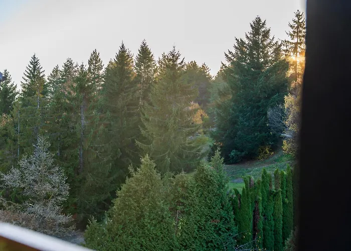 公寓 Viwa - Prestige Forest *