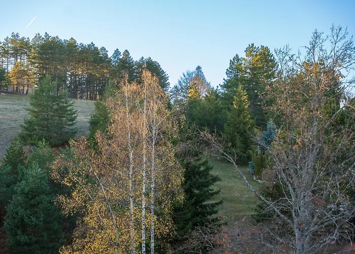 Viwa - Prestige Forest 公寓 兹拉蒂博尔